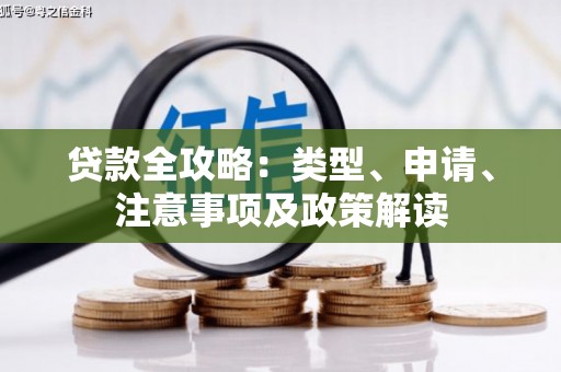 徐闻贷款全攻略：类型、申请、注意事项及政策解读