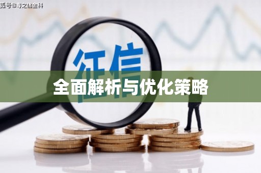 徐闻全面解析与优化策略