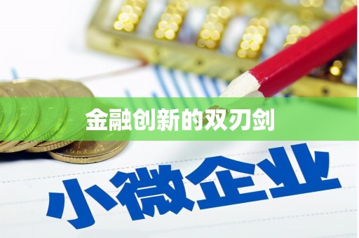 徐闻金融创新的双刃剑