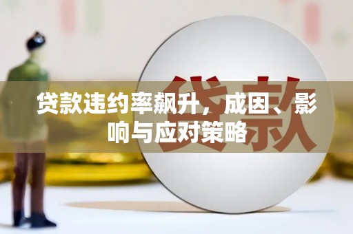 徐闻贷款违约率飙升，成因、影响与应对策略